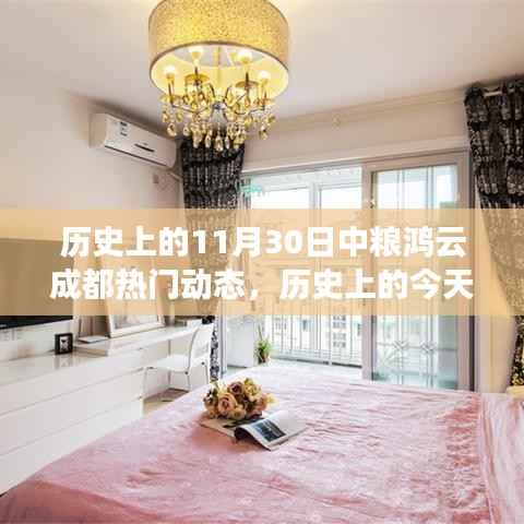 中粮鸿云成都励志风云日,学习变化,成就梦想之路的里程碑