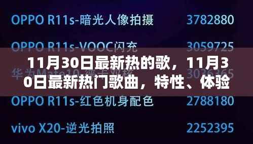 项目介绍 第499页