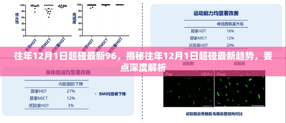 揭秘往年12月1日超碰最新趋势深度解析与要点揭秘