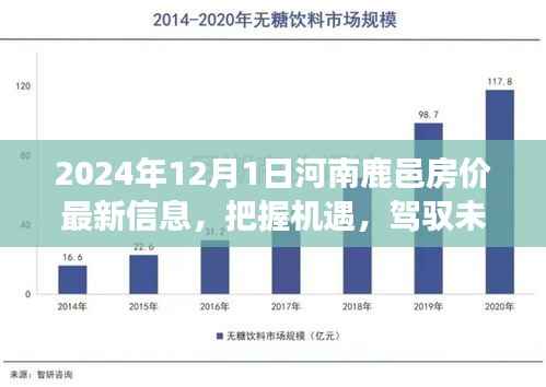 河南鹿邑房价最新信息揭秘,把握未来机遇,开启自信成就之旅(2024年)