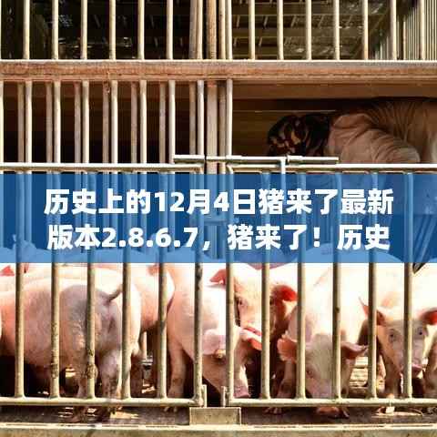 猪来了最新版本2.8.6.7上线,科技重塑生活,未来体验升级重磅来袭