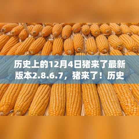 猪来了最新版本2.8.6.7上线,科技重塑生活,未来体验升级重磅来袭
