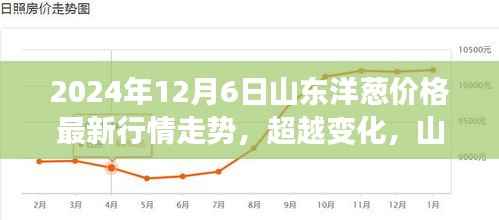 山东洋葱价格最新行情走势,激励前行勇探未来市场变化之路