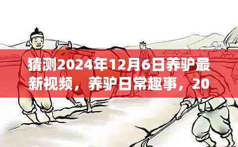 养驴新篇章,日常趣事与温馨陪伴的友谊纽带,预测与展望2024年12月6日