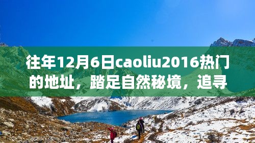 追寻内心平静的十二月六日自然秘境之旅,热门地点caoliu2016回顾