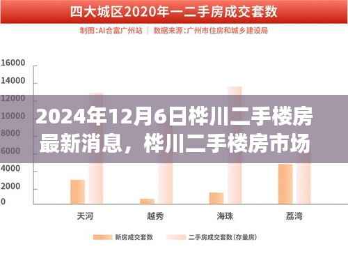桦川二手楼房市场深度解析与最新消息(2024年12月版)