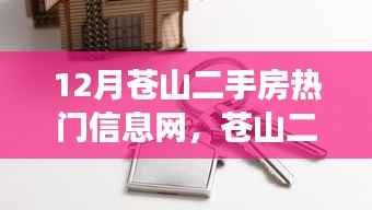 苍山二手房市场新动态,热门信息一网打尽,开启新生活篇章