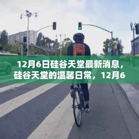 硅谷天堂,温馨日常与奇遇的情感纽带(12月6日最新消息)