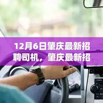 肇庆司机求职全攻略,从入门到成功应聘的详细指南(12月6日更新)