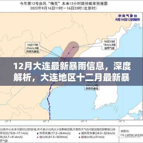 大连十二月最新暴雨信息深度解析与全面评测