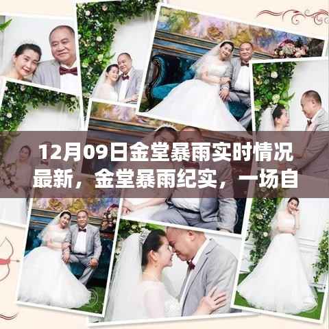 金堂暴雨纪实,自然力量与时代的印记(最新实时情况报道)