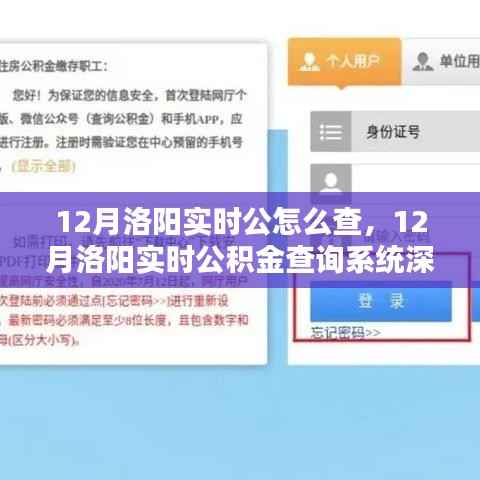 12月洛阳实时公积金查询系统详解与深度评测
