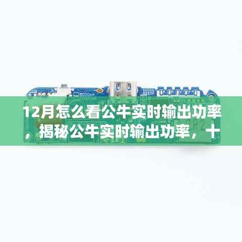 揭秘公牛实时输出功率,十二月观察指南助你洞悉公牛实时表现