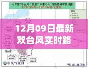 双台风来袭！最新实时路径图与家庭温馨护航指南