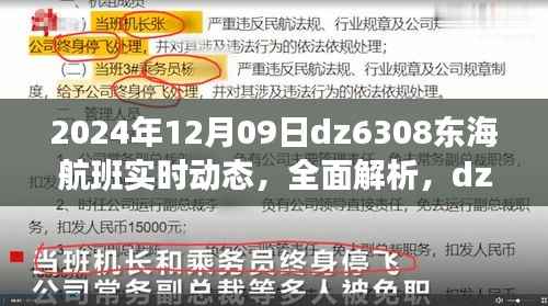 独家解析,2024年12月9日dz6308东海航班实时动态及乘客体验分享