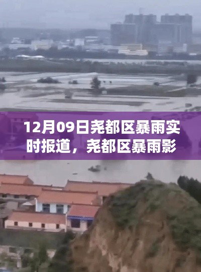 尧都区暴雨实况报道,影响下的正反观点探讨