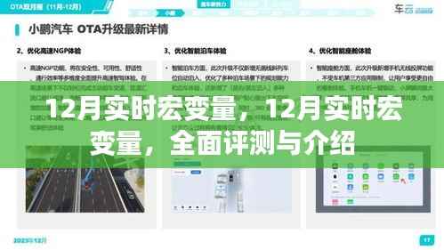 全面评测与介绍,12月实时宏变量