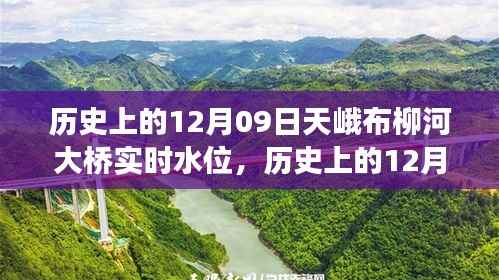 历史上的天峨布柳河大桥实时水位变迁纪实,揭秘12月09日的水位变化与变迁历程