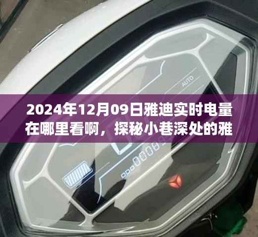 探秘雅迪实时电量查看方式,小巷深处的电量指南与奇妙旅程开启