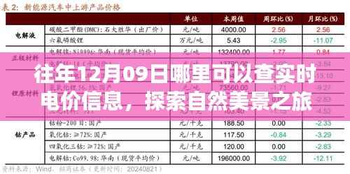 实时电价查询与探索自然美景之旅,寻找内心的宁静与平和