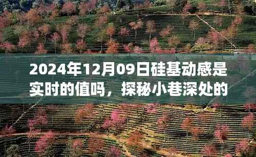 探秘硅基动感,小巷深处的隐藏美味与实时值的背后故事