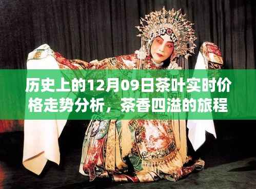 茶香四溢的心灵之旅,历史上的茶叶实时价格走势深度解析与启示