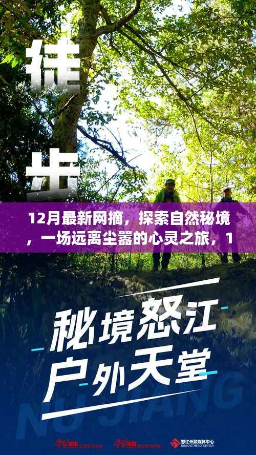 探索自然秘境的心灵之旅,最新网摘带你启程