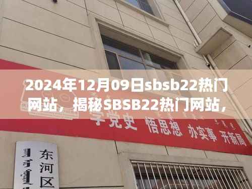 揭秘SBSB22热门网站,一场充满惊喜的视听盛宴背后的犯罪问题?
