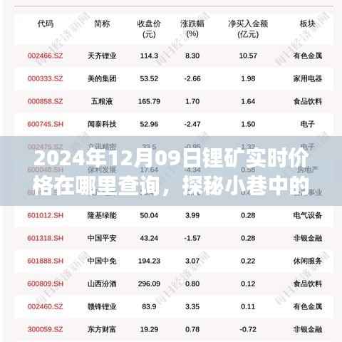 探秘小巷宝藏,锂矿实时价格查询之旅(2024年12月09日)