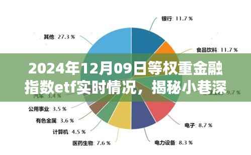 揭秘小巷深处的金融宝藏,2024年等权重金融指数ETF实时动态报告(附日期)