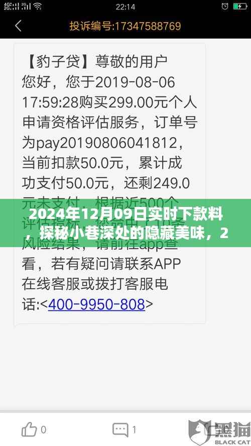 探秘小巷深处隐藏美味,独家体验2024年12月09日实时下款料美食之旅