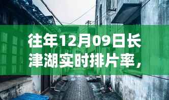长津湖畔电影时光，揭秘12月09日排片率背后的故事
