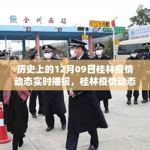 桂林疫情动态下的自然探索之旅,历史播报与亲密自然的接触