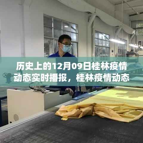 桂林疫情动态下的自然探索之旅,历史播报与亲密自然的接触