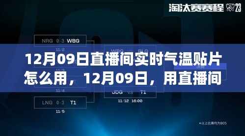 12月09日直播间实时气温贴片使用指南,开启与自然美景的心灵之旅
