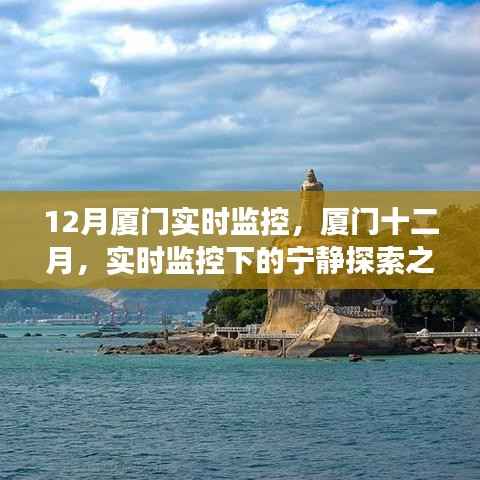 厦门十二月,实时监控下的宁静探索之旅