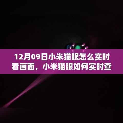 小米猫眼实时画面查看深度解析与观点阐述,操作指南及功能体验
