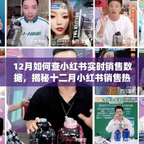 揭秘十二月小红书销售热潮，实时数据查询方法与技巧，洞悉销售趋势的秘诀！