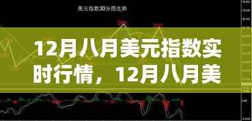深度解析,12月八月美元指数实时行情概览与趋势预测