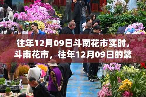 揭秘斗南花市往年12月09日的繁荣景象实时纪实