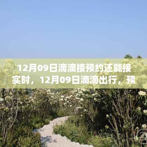 滴滴出行预约与实时体验，宁静之旅探秘