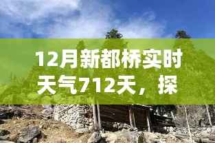 新都桥下的冬日奇遇,实时天气与巷弄小店的探索之旅