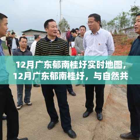 广东郁南桂圩实时地图,与自然共舞的心灵之旅,12月最新导航指南