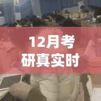 深度解析与观点分享,考研倒计时下的十二月备考真实时间安排
