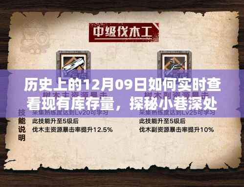 探秘特色小店库存奥秘,实时查看库存量,揭秘小巷深处的宝藏之旅。