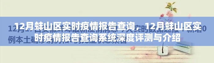 12月蚌山区实时疫情报告查询系统详解与评测
