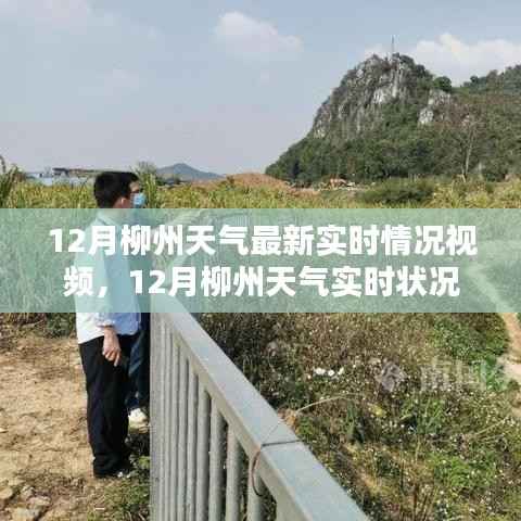 12月柳州天气实时状况及气候特点解析