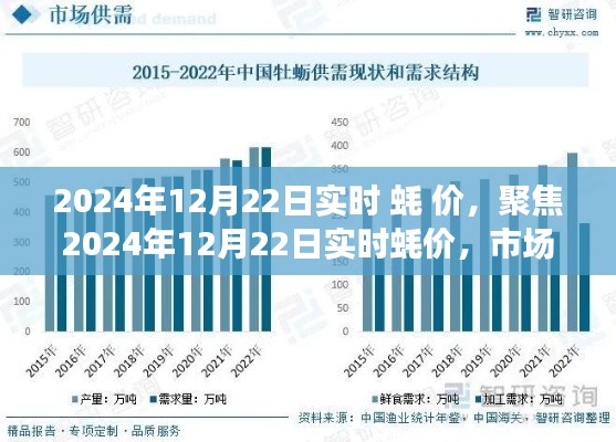 聚焦2024年12月22日实时蚝价,市场走势、影响因素及未来展望分析