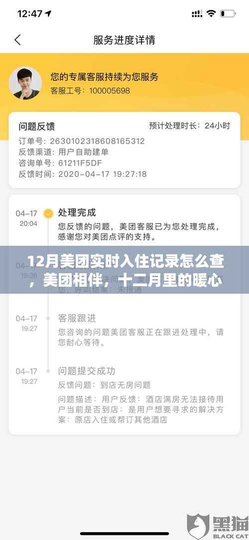 美团相伴,十二月实时入住记录查询与暖心入住回忆