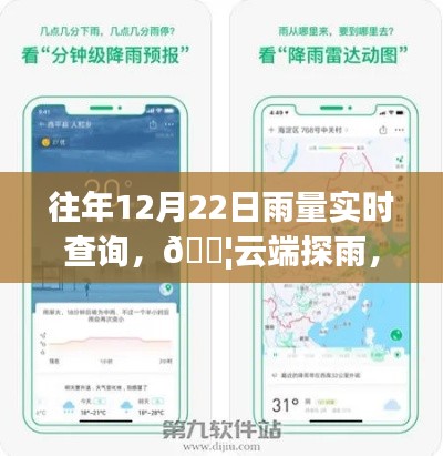 云端探雨,历年与实时雨量智能查询重塑生活体验